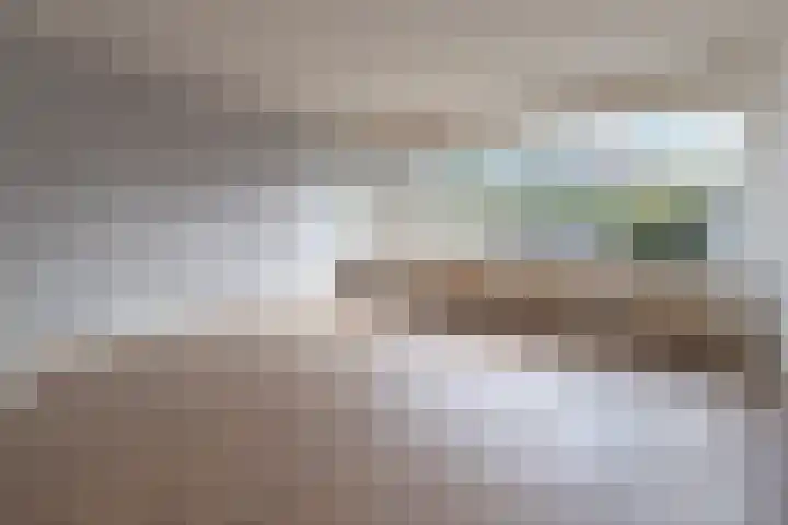 Nijenbeek 70 Barneveld thumbnail 5