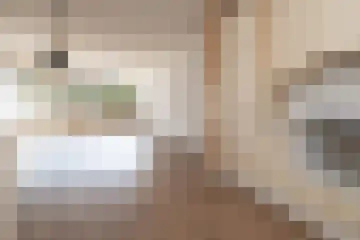 Nijenbeek 70 Barneveld thumbnail 9
