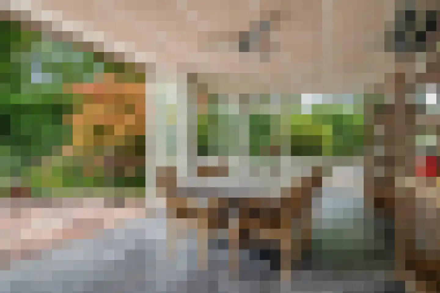 Nijenbeeksepad 6 Gorssel thumbnail 15
