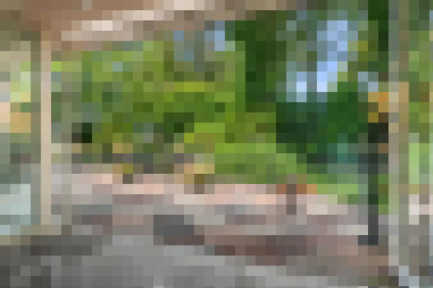 Nijenbeeksepad 6 Gorssel thumbnail 16