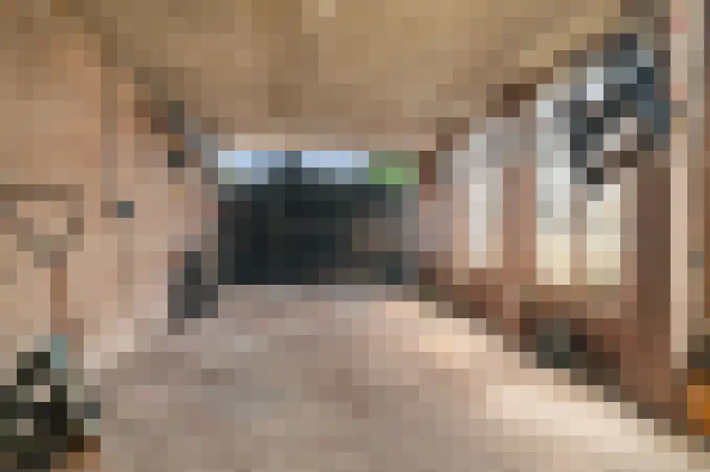 Nijenbeeksepad 6 Gorssel thumbnail 23