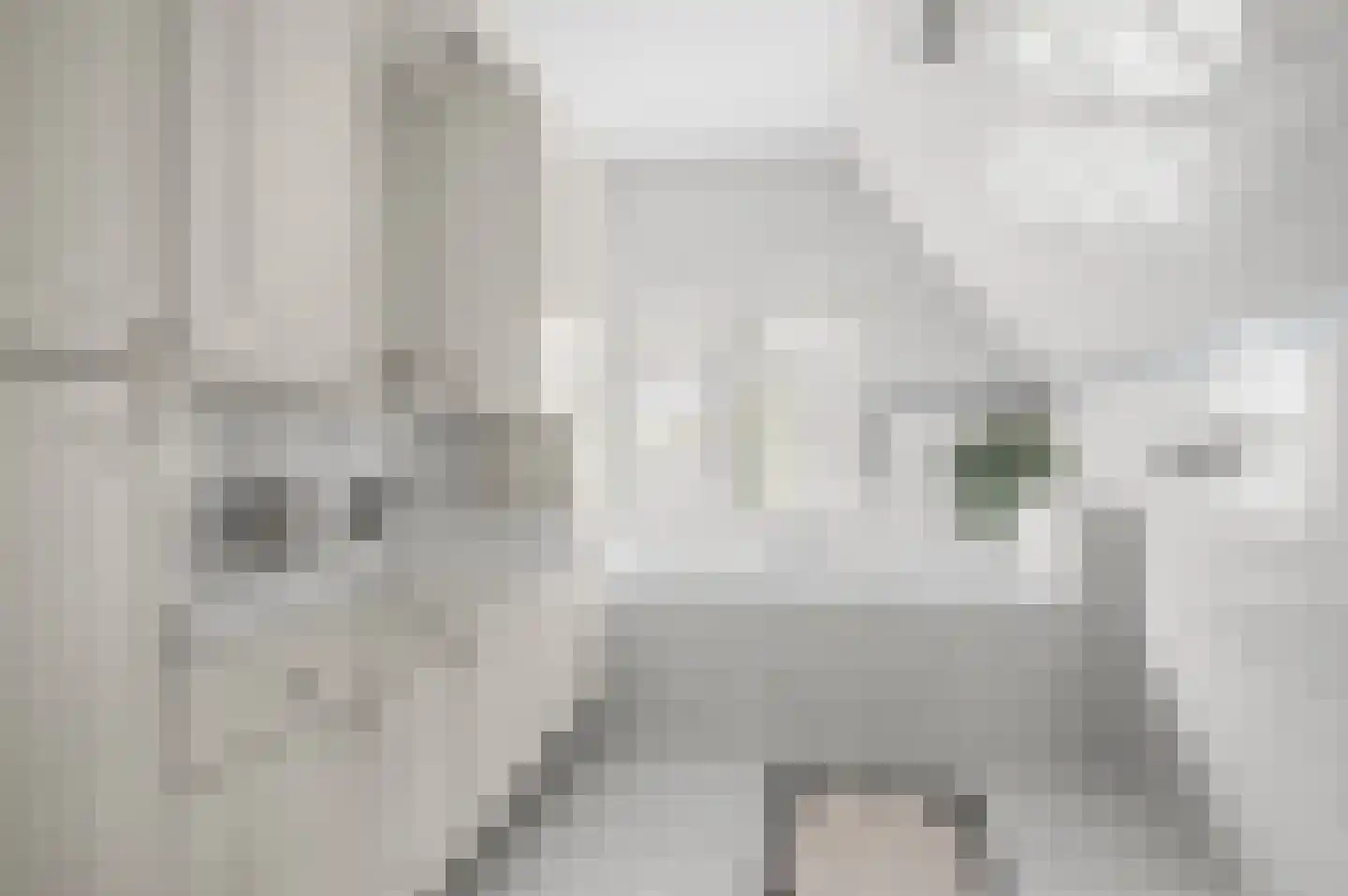 Nijenbeeksepad 6 Gorssel thumbnail 30