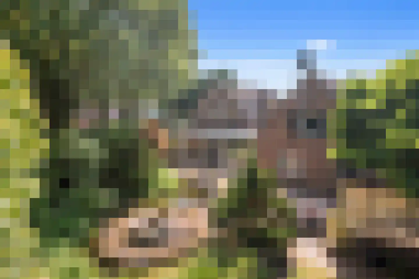 Nijenbeeksepad 6 Gorssel thumbnail 36