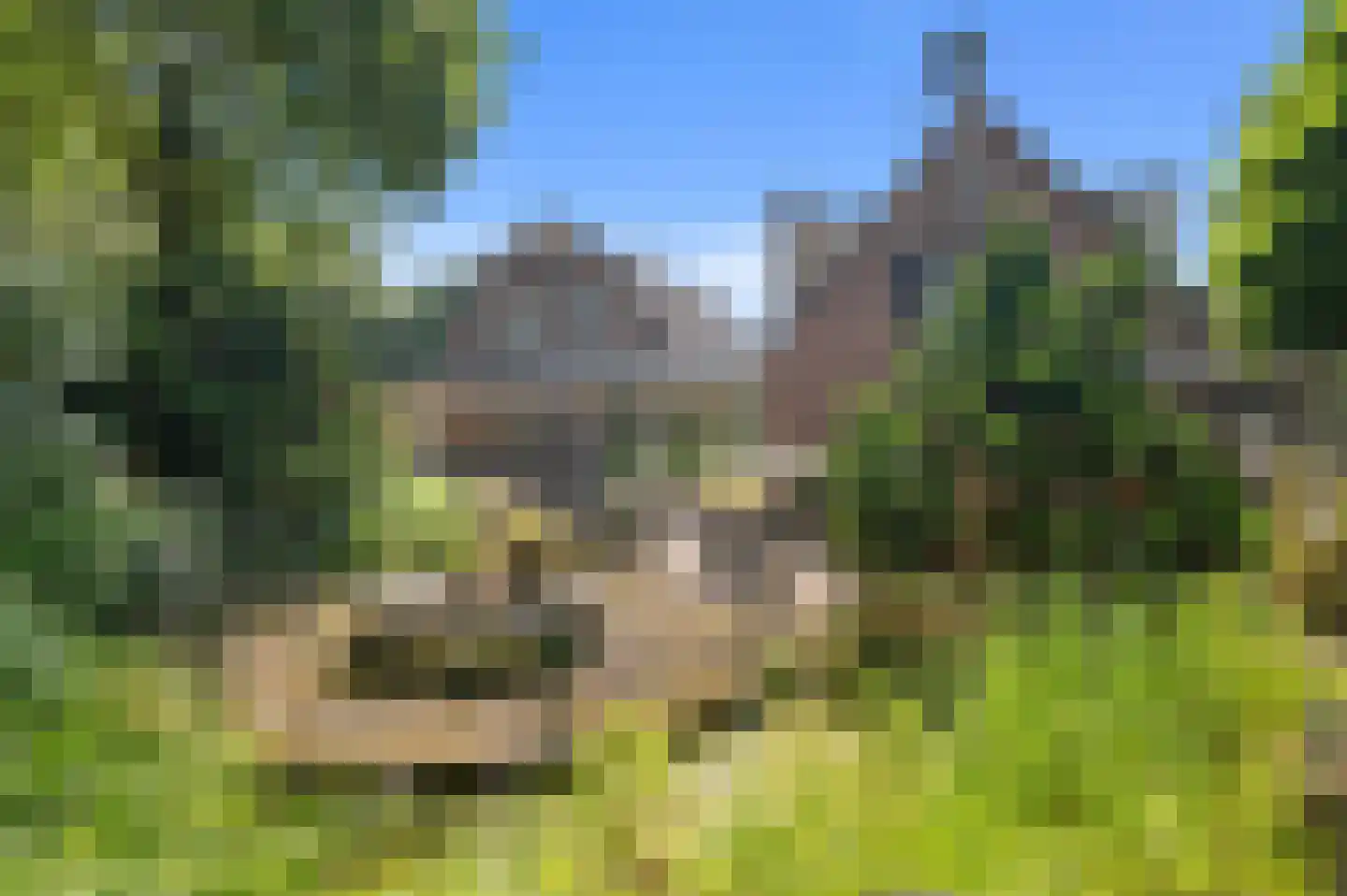 Nijenbeeksepad 6 Gorssel thumbnail 37