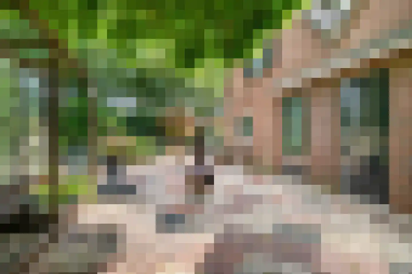 Nijenbeeksepad 6 Gorssel thumbnail 38