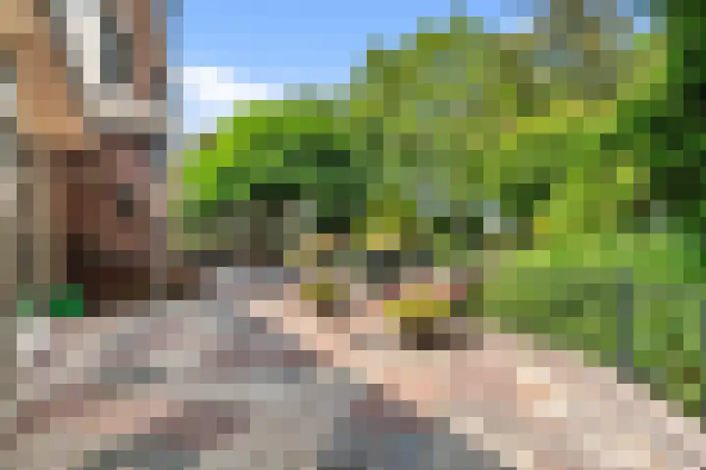 Nijenbeeksepad 6 Gorssel thumbnail 39