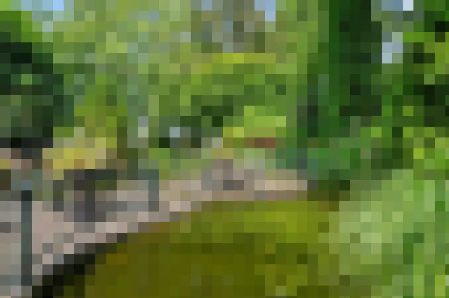 Nijenbeeksepad 6 Gorssel thumbnail 40