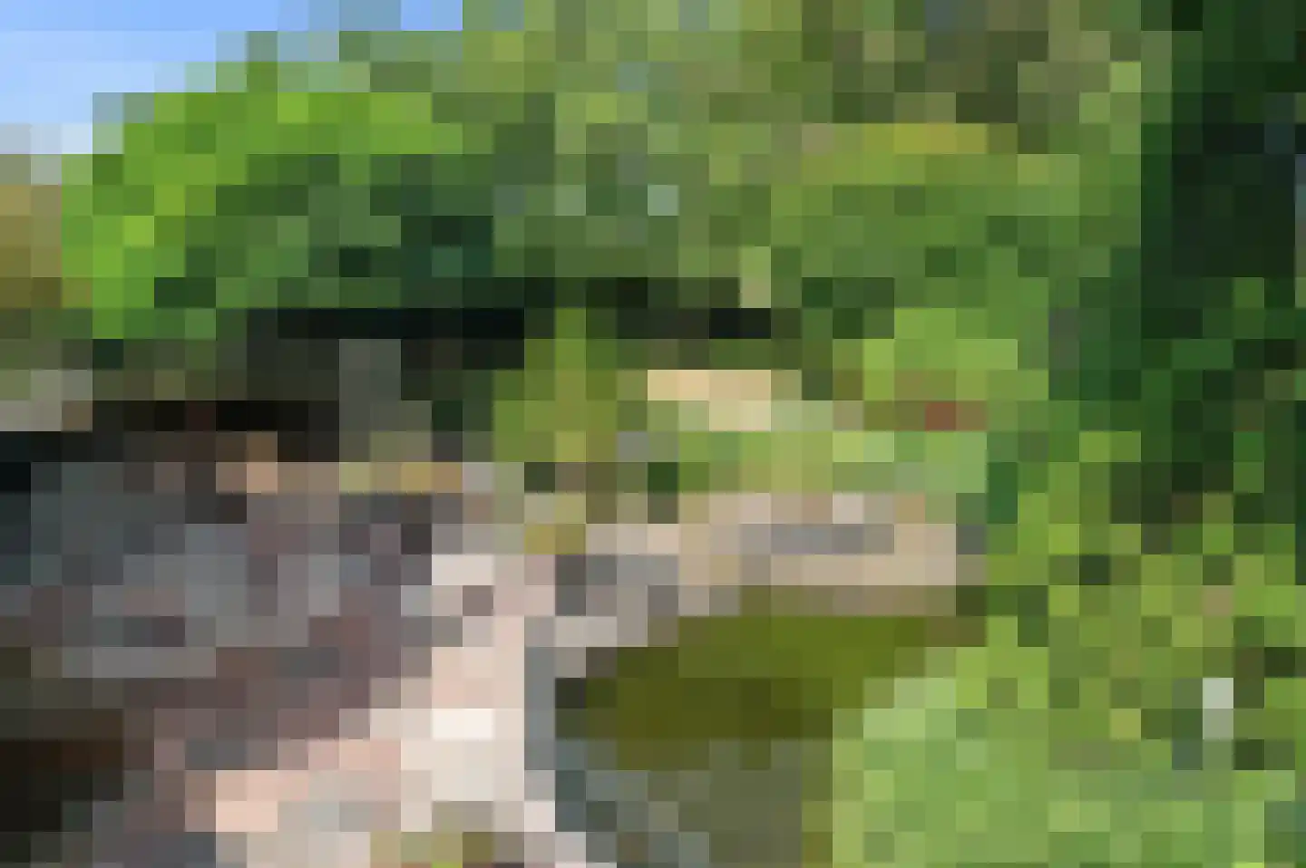 Nijenbeeksepad 6 Gorssel thumbnail 41