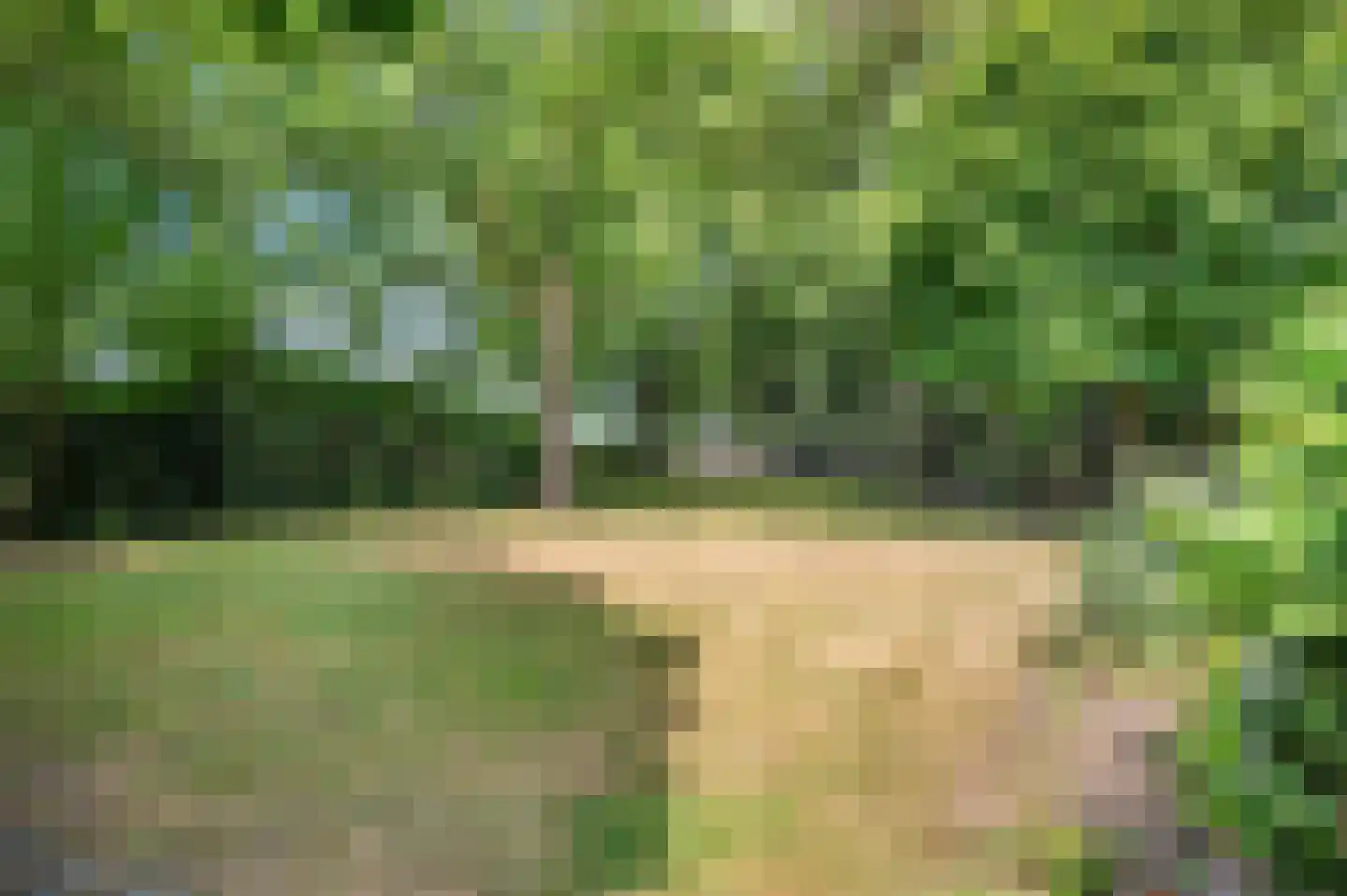Nijenbeeksepad 6 Gorssel thumbnail 42