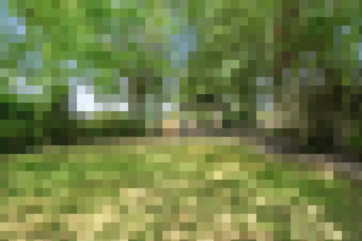 Nijenbeeksepad 6 Gorssel thumbnail 43