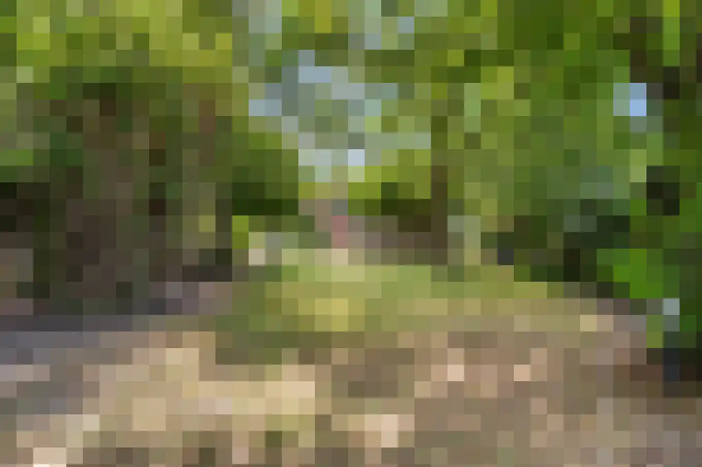 Nijenbeeksepad 6 Gorssel thumbnail 46