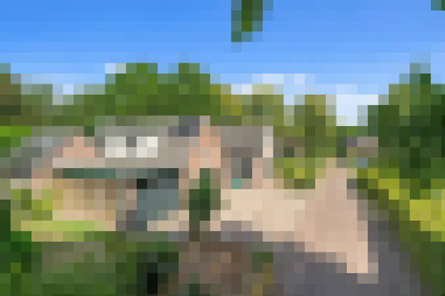Nijenbeeksepad 6 Gorssel thumbnail 51
