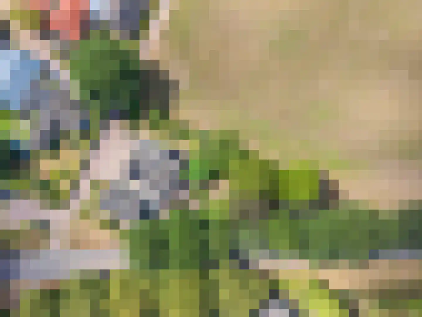 Nijenbeeksepad 6 Gorssel thumbnail 54