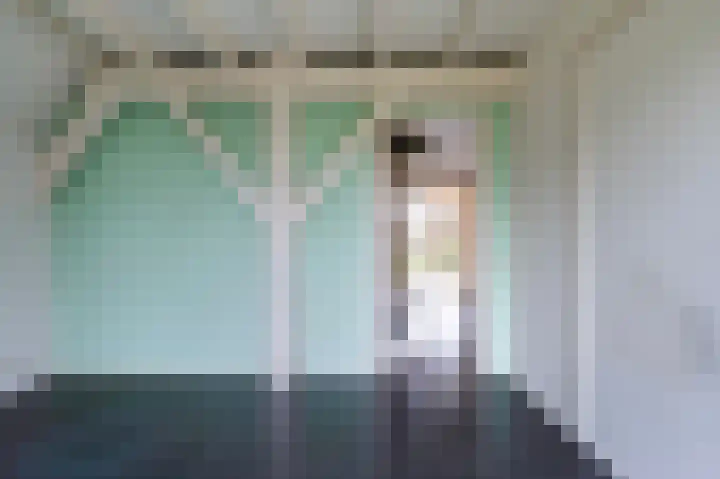 Nijenbeekseweg 38 Voorst thumbnail 23