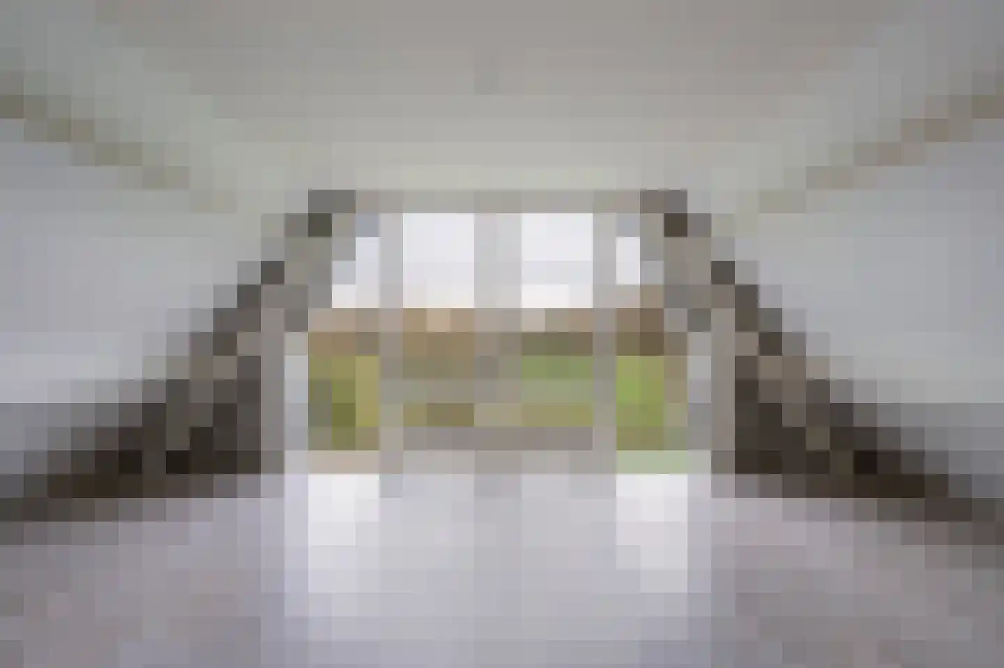 Nijenbeekseweg 38 Voorst thumbnail 25