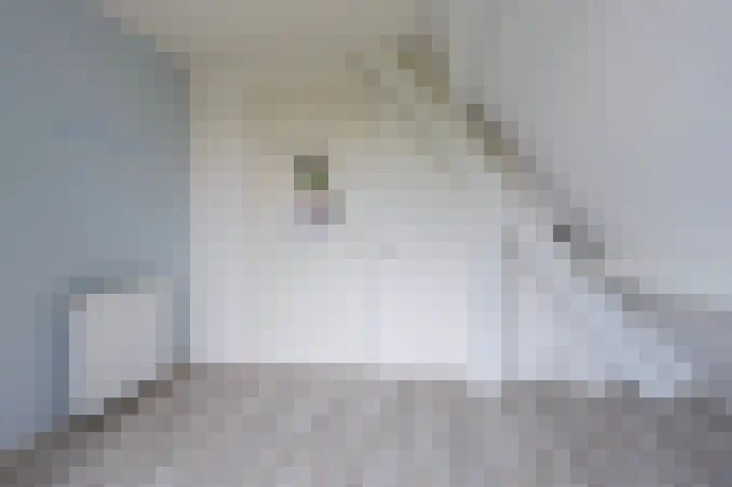Nijenbeekseweg 38 Voorst thumbnail 28