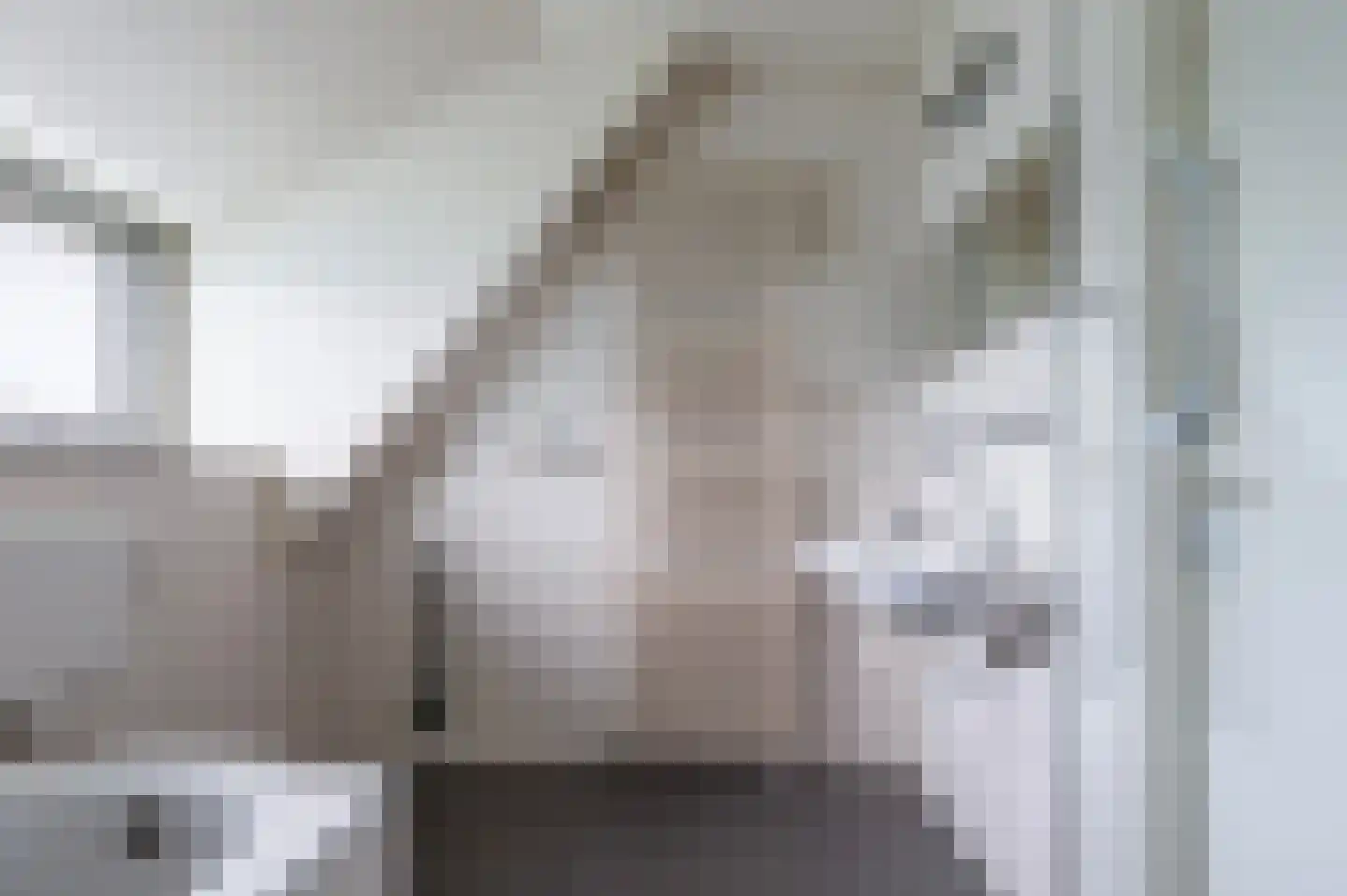 Nijenbeekseweg 38 Voorst thumbnail 33
