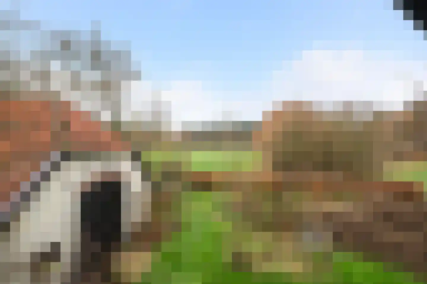 Nijenbeekseweg 38 Voorst thumbnail 35