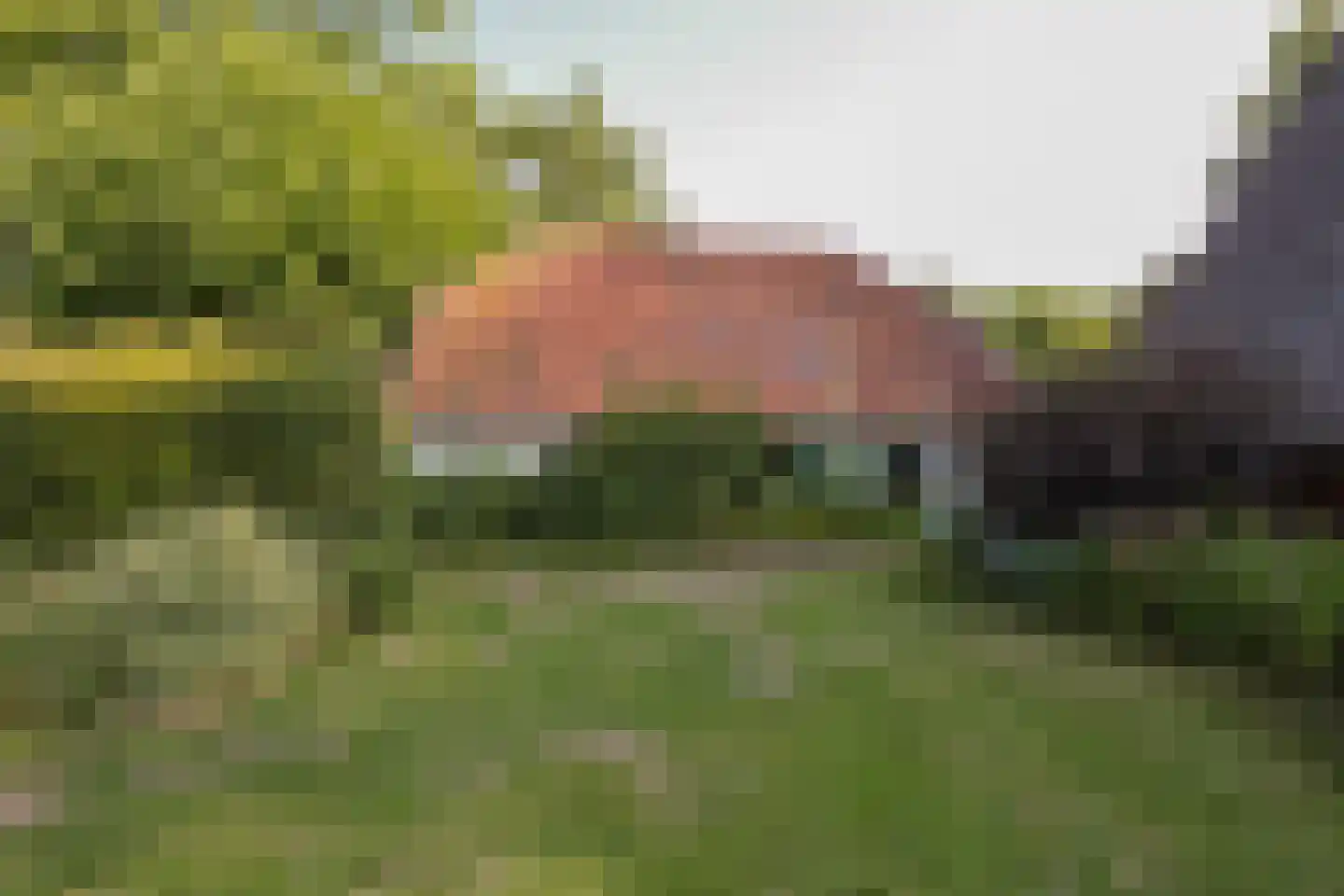 Nijenbeekseweg 38 Voorst thumbnail 36