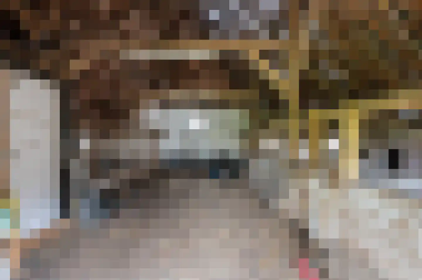 Nijenbeekseweg 38 Voorst thumbnail 37