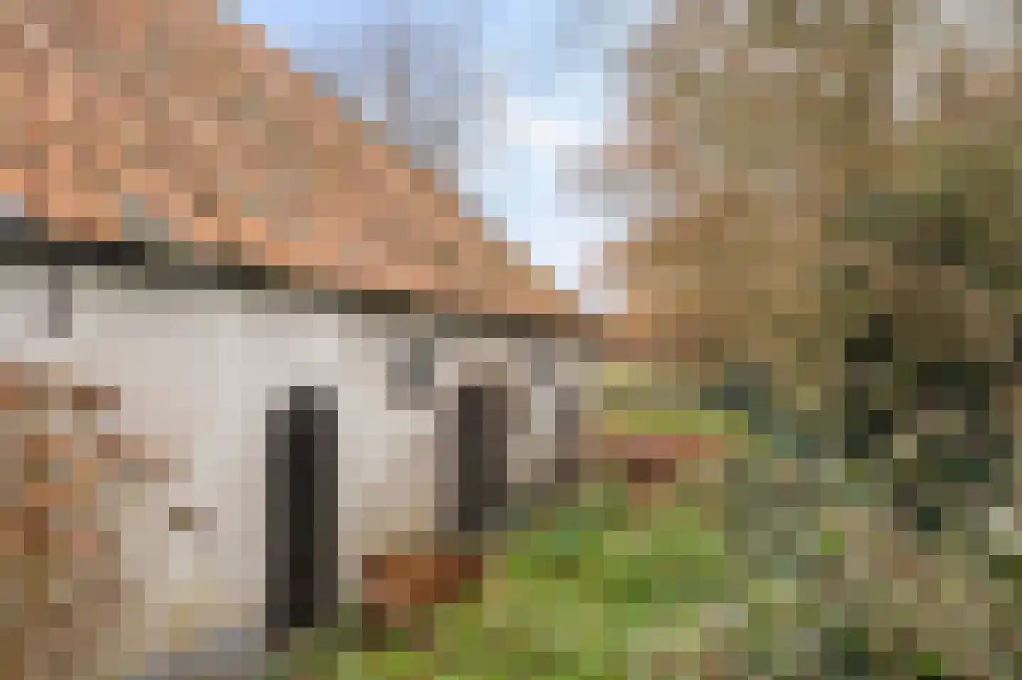 Nijenbeekseweg 38 Voorst thumbnail 38