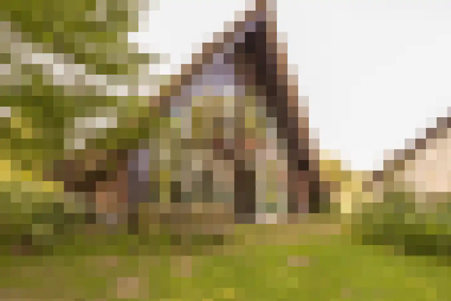 Nijenbeekseweg 38 Voorst thumbnail 4