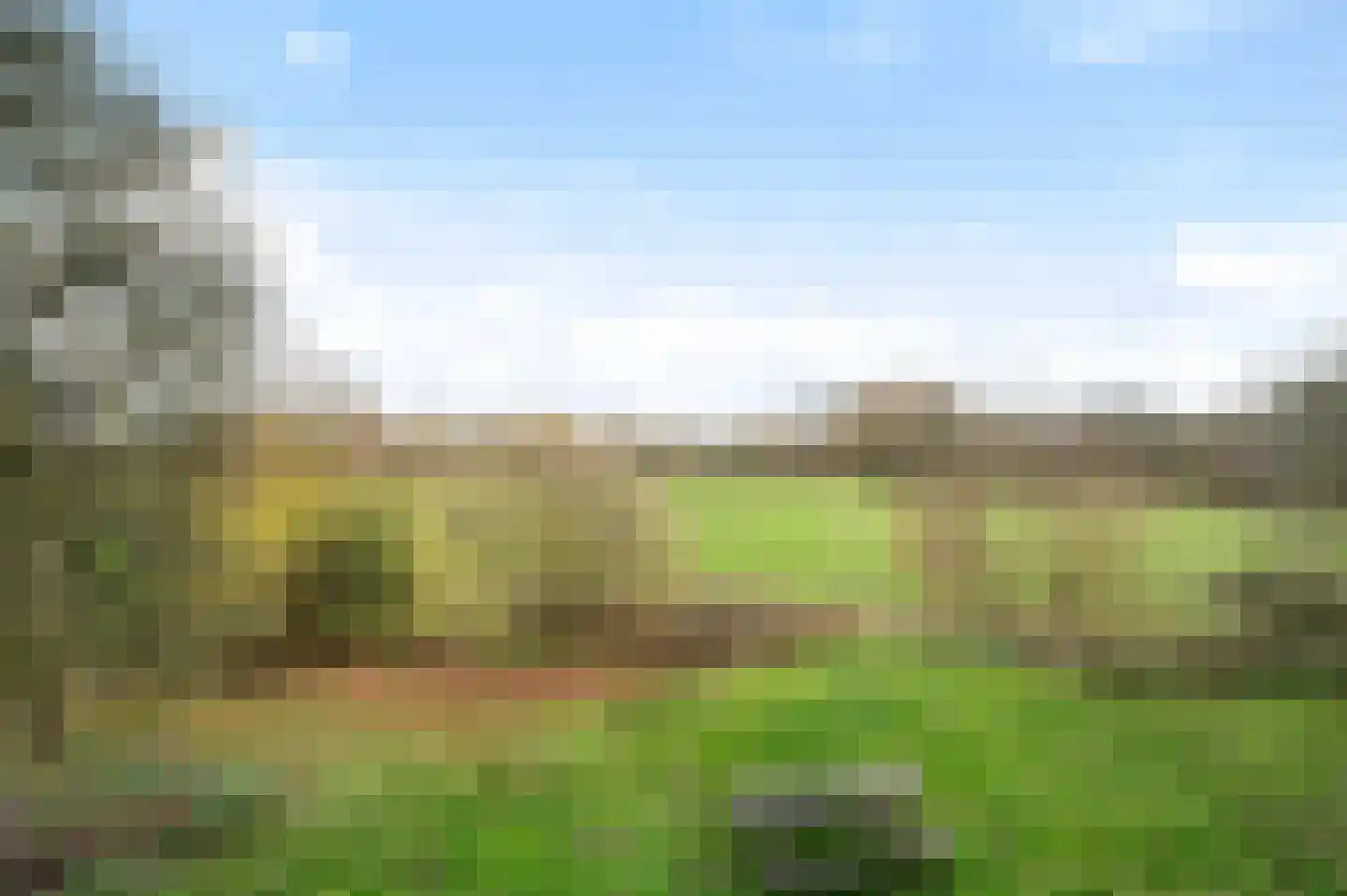Nijenbeekseweg 38 Voorst thumbnail 41