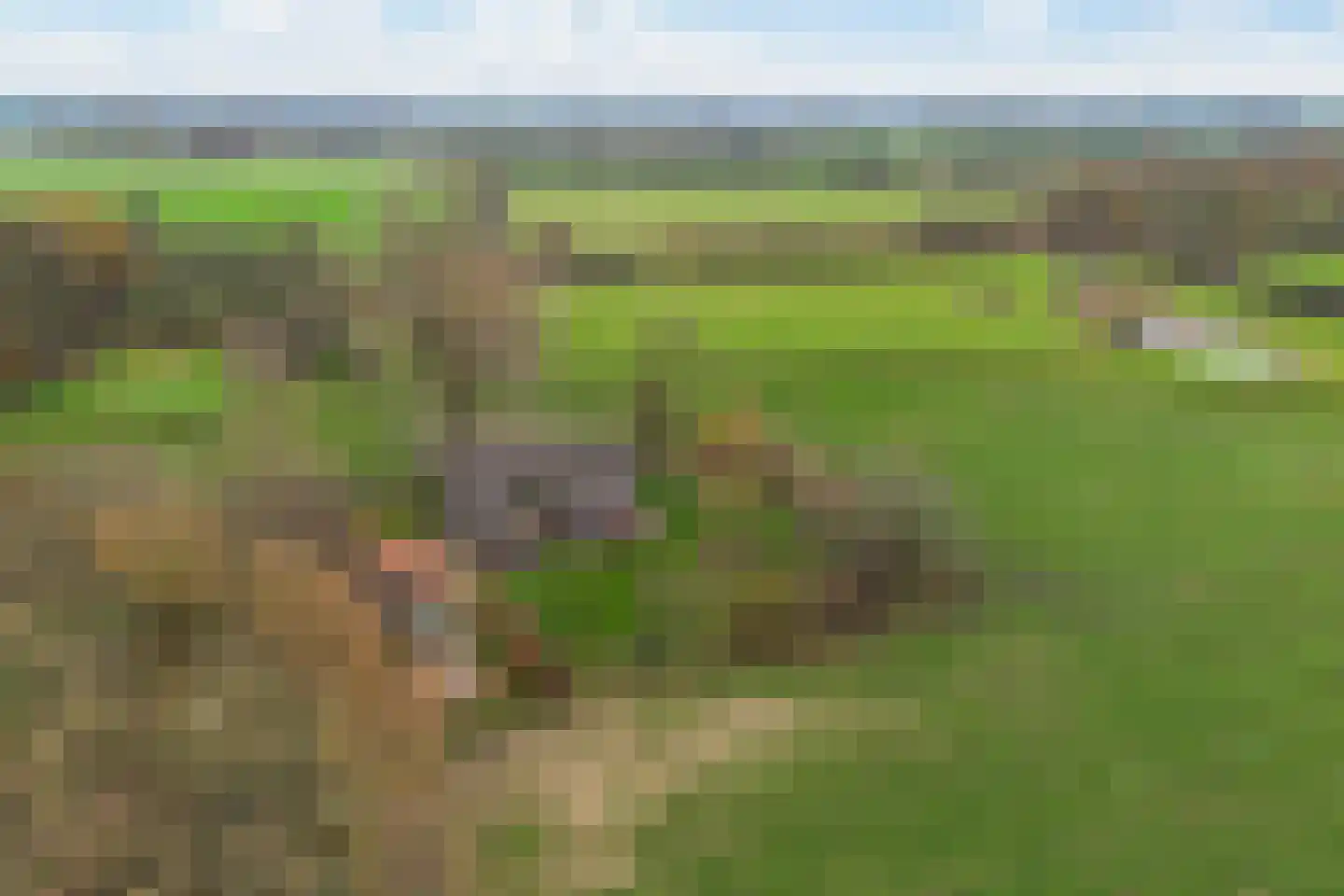 Nijenbeekseweg 38 Voorst thumbnail 42