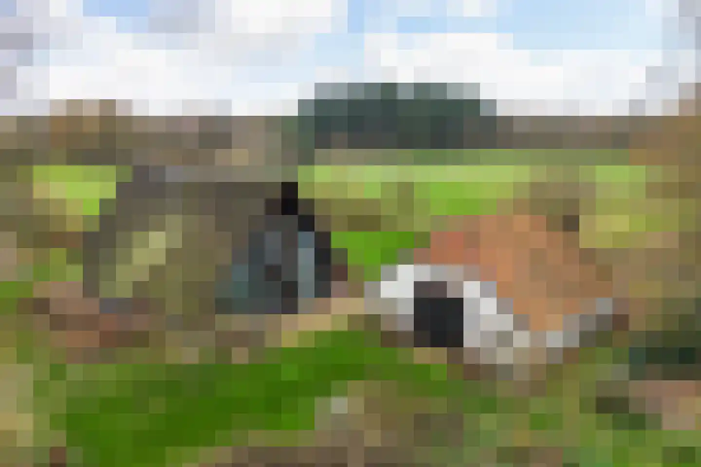 Nijenbeekseweg 38 Voorst thumbnail 43