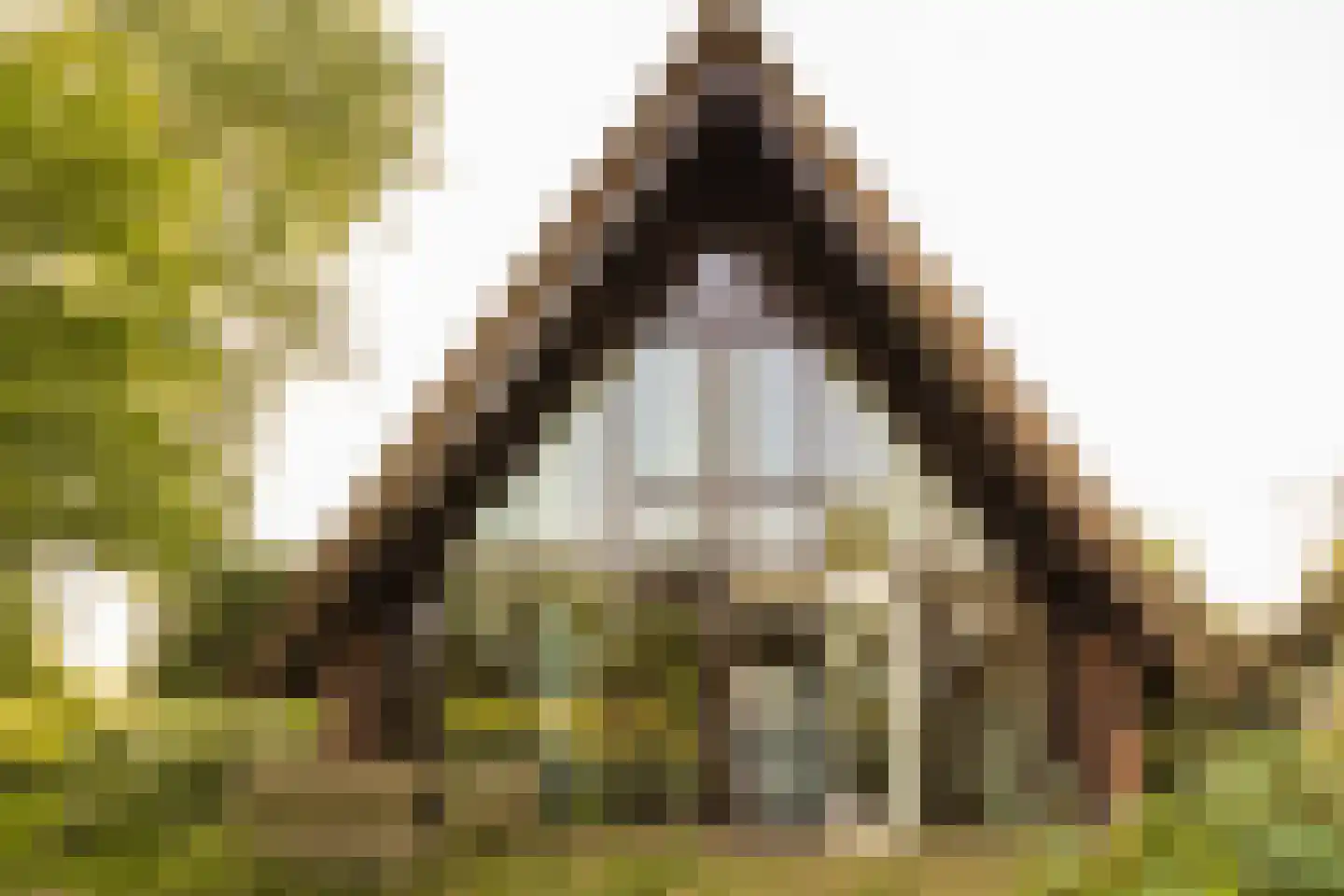 Nijenbeekseweg 38 Voorst thumbnail 5
