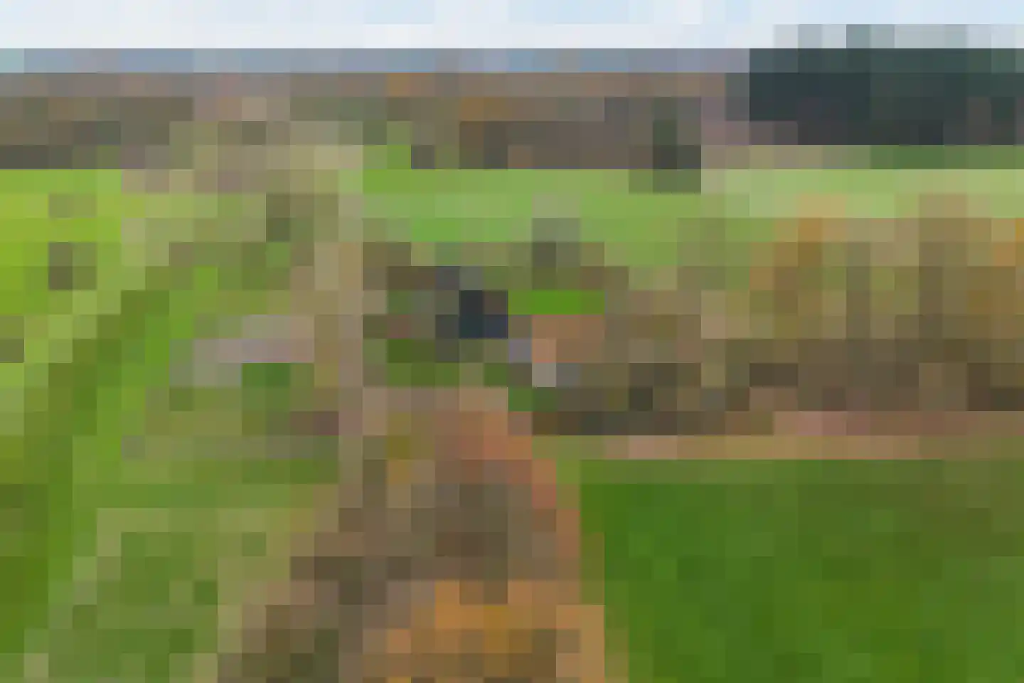 Nijenbeekseweg 38 Voorst thumbnail 6