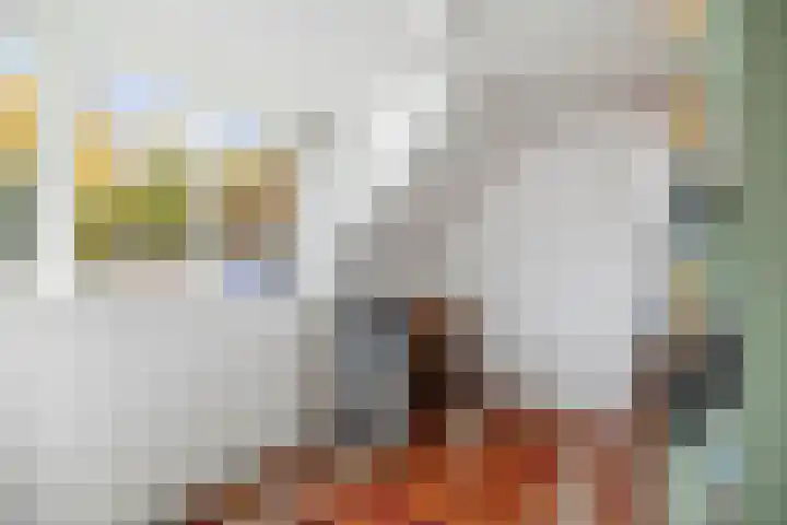 Nijenbeekseweg 6 Voorst thumbnail 23