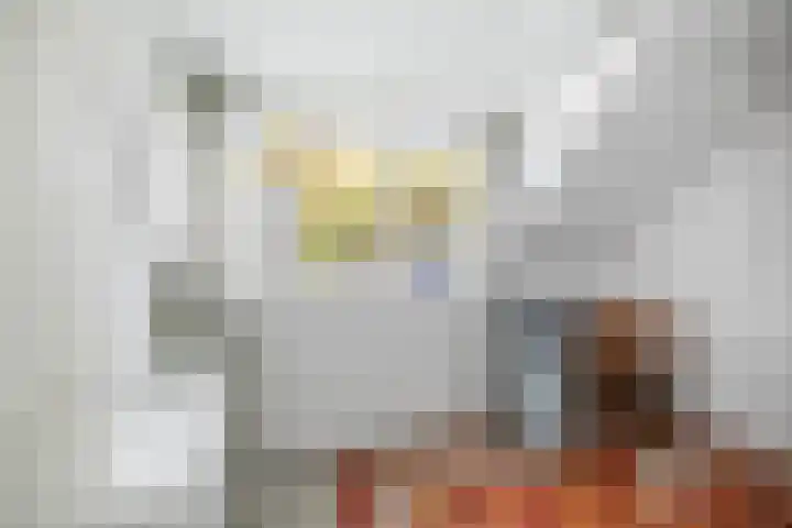 Nijenbeekseweg 6 Voorst thumbnail 24