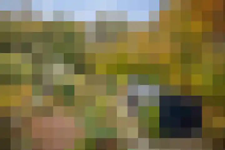 Nijenbeekseweg 6 Voorst thumbnail 28