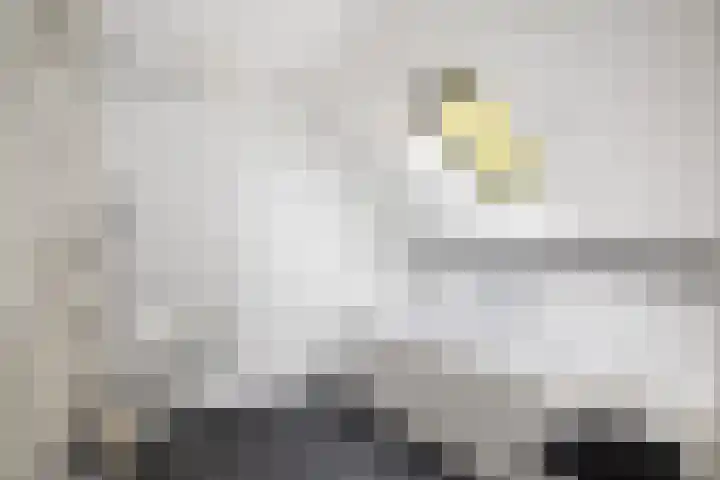 Nijenbeekseweg 6 Voorst thumbnail 29