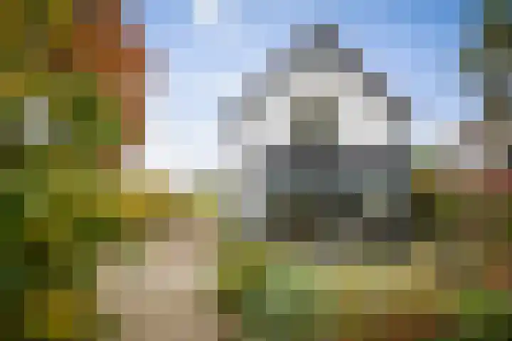 Nijenbeekseweg 6 Voorst thumbnail 31