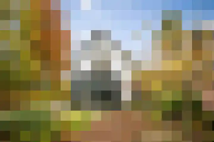 Nijenbeekseweg 6 Voorst thumbnail 32