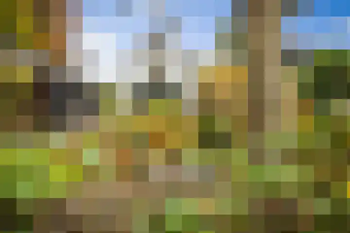 Nijenbeekseweg 6 Voorst thumbnail 33