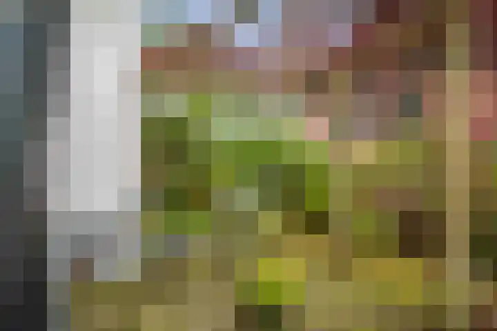 Nijenbeekseweg 6 Voorst thumbnail 34
