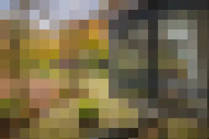 Nijenbeekseweg 6 Voorst thumbnail 35