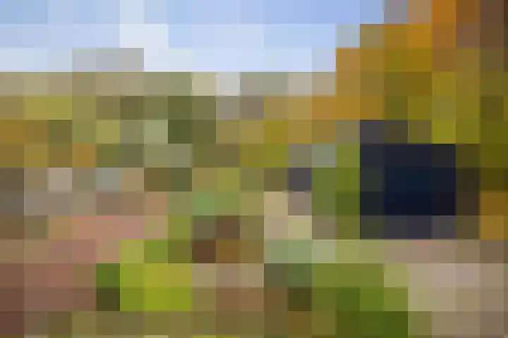 Nijenbeekseweg 6 Voorst thumbnail 36