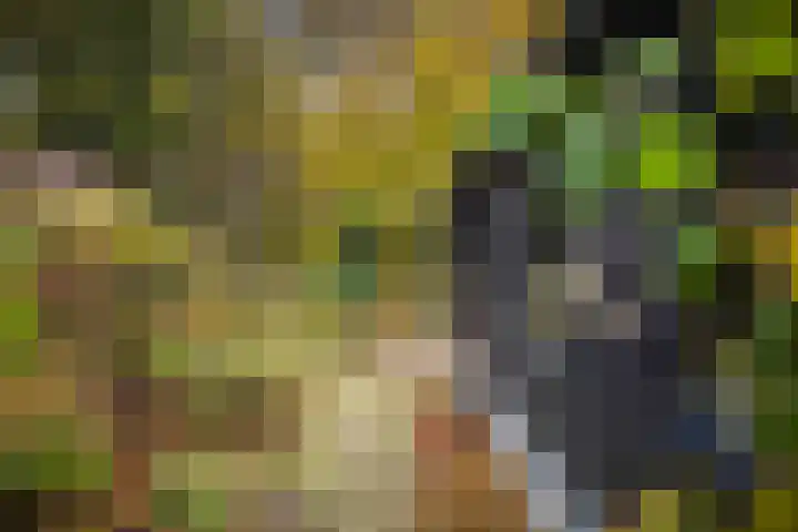 Nijenbeekseweg 6 Voorst thumbnail 37