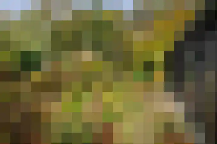Nijenbeekseweg 6 Voorst thumbnail 38