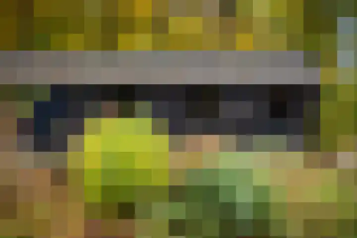 Nijenbeekseweg 6 Voorst thumbnail 39