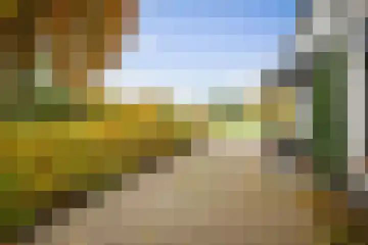 Nijenbeekseweg 6 Voorst thumbnail 4