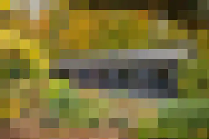 Nijenbeekseweg 6 Voorst thumbnail 40