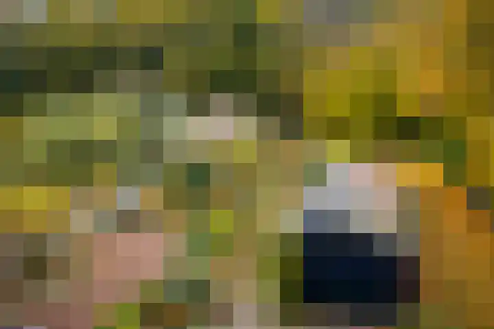Nijenbeekseweg 6 Voorst thumbnail 41