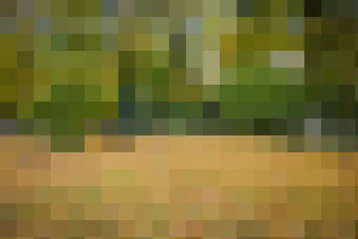 Nijenbeekseweg 6 Voorst thumbnail 42