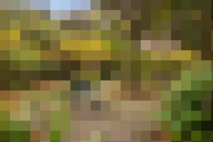 Nijenbeekseweg 6 Voorst thumbnail 43