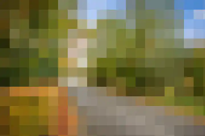 Nijenbeekseweg 6 Voorst thumbnail 45